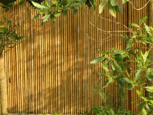 tuinschutting bamboe